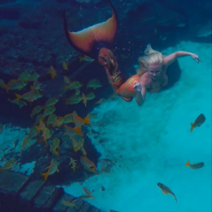Mermaiding has gained in popularity as quality monofins have become easy to purchase online. Hobbyists can be seen practicing at local pools and bodies of water. Would you be interested in learning to swim with a monofin?