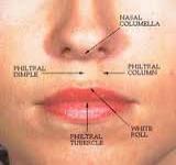 1. Philtrum, is the groove between your nose and upper lip. Can you touch above this area, to your nose, using your tongue?