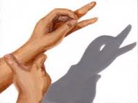 Can you or someone you know make hand shadow animals and figures?