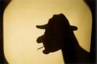 If there was a local hand shadow artist in your area would you consider hiring one for a kids' party or an adult party?