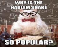 So this Sunday, a local Pizzaria is filming a Harlem Shake Ad/Video. Everyone who attends and participates in the video gets a FREE extra large pizza. Would you participate?