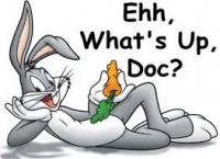 Do you like carrots?