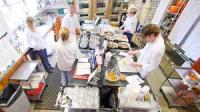 Do you work in a test kitchen?
