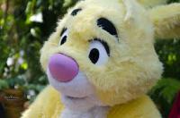 Do you think it was easier for middle-class income families to go to Disneyland in the 70's than it is now?