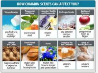 Were you aware that smells can trigger emotions?