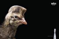 You have just seen 7 of the top 14 ads for this year. What do you think so far?