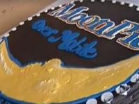 If yes, did you attend or watch on TV?