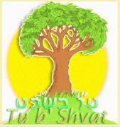 Trees are a special part of Judaism (from Jewish learning)