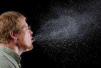 Here are a few more morsels regarding sneezing. Check off which ones you know: