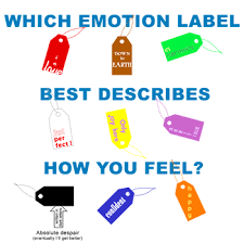 I am the type of person that needs labels or an explanation for my feelings. So the Kubler-Ross is beneficial for me. How about you, does having a label, reason, or explanation for how you feel help you transition what you are going through?