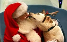 Tis the season for photos with Santa. There are some places that you can bring your pet to have a picture with Santa. Have you or are you having a Santa/Pet photo this year?