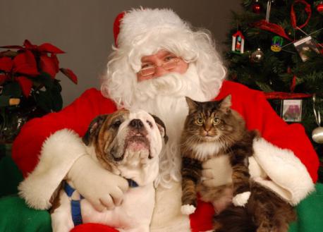 As a pet owner, my pets were family to me, so I think it's a great opportunity for pet owners to have pics with Santa, especially if there are no kids around to do so. If you're a pet owner, do you consider you pet(s) to be family members?