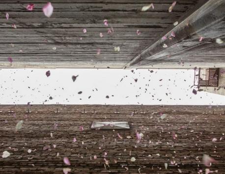 *LAist* The latest project from the anonymous art collective that secretly installed the Griffith Park Teahouse will shower flower petals on visitors to an alleyway between historic theaters in downtown L.A. this weekend. The installation, known as 