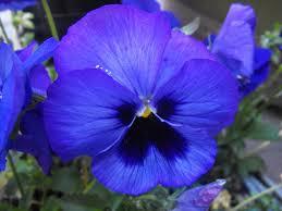 Although I don't ever think I've owned anything of these colors, they might just be my favorite. If you like these colors, which of these movies do you also like?