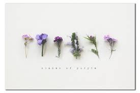 Finally, choose your favorite quotes from the list: