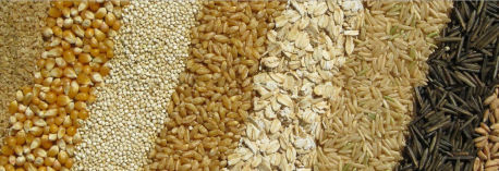 With the grain or against it?