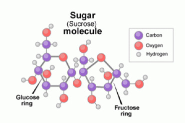 It's been almost a year since I decided to eliminate about 90% of sugar from my life. Yogurt and canned coffee drinks, are the only items that I consume with sugar [and whatever is in condiments]. Have you ever eliminated sugar from your diet?