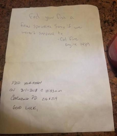 On August 1, 2018 the firemen of engine 1489 of Cal Fire, currently fighting fires in Northern California, fed the fish found in a home in the area where they were working. If you look at the photo, you'll see their note to the homeowner, that reads, 