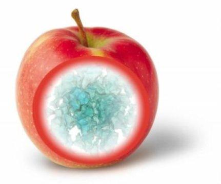 Pears and apples contain air pathways to 