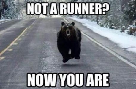 Here are some bear idioms, choose the ones you like: