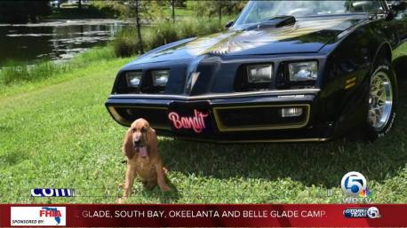 The Jupiter Police Department has named its newest K-9 after Burt Reynolds iconic role as 