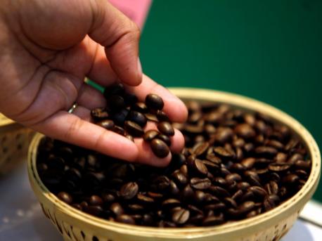 According to Espresso and Coffee Guide, here are the top ten coffee beans in the world. Choose the ones you've heard of: