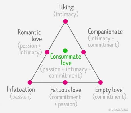 In 1988, Robert Sternberg, an American psychologist, gave a theory of love according to which there are three chief components of love – commitment, passion and intimacy. The strong physical attraction couples feel for each other comes under passion while sharing psychological closeness and personal notions is defined by intimacy and determination of living together is commitment. It is easy to find passion in a relation's initial stage; however, developing intimacy takes a longer duration in view of the fact that it depends on how much you know your partner and when it is established, the concerned couple can make up mind of being in a relationship. From this list, choose the love type that you aware of: