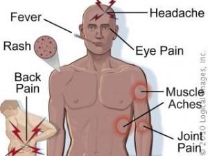 Here are the symptoms of Valley Fever. Check off the symptoms you're aware of: