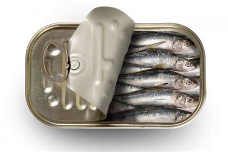Have you eaten canned sardines?