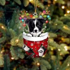 What size dog do you like the most?