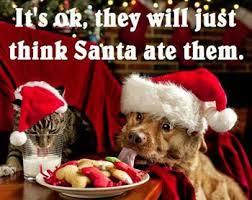 Does your dog mind you?