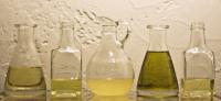 Have you ever used the Oil Cleansing Method on your skin?