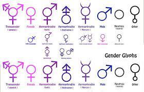 How do you identify?