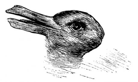 Do you see a duck or a rabbit first?