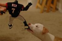 Michael Vick recently admitted that he does indeed have a dog. Were you aware of this?