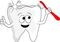 How often do you brush your teeth?