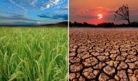 Do you believe that global warming and climate change poses a threat to life on Earth?