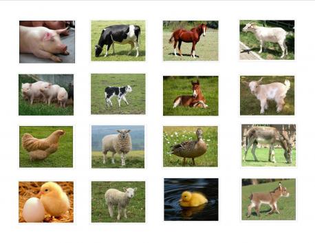 Are you someone who prefers farm animals instead? Ex; Cows,Pigs, Chickens, Horses, Ducks, Etc?
