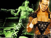 Also know as The Heart Break Kid (HBK), Shawn Micheals was a four times World Champion. Him and his long time friend Triple H started D Generation X. Where you a fan of HBK?