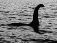 Good Ole Nessie. The Loch Ness monster is a creature from Scotland. Said to be a sea creature 20-30 feet long. Pictures and sonar has been taken, but so far no proof. Do you believe in Nessie?