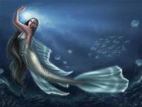 New hype coming around for this creature thanks to the Discovery Channel, the mermaid is said to live in the ocean. According to the document a shark was found with a mermaid in its belly. Do you think this is true?