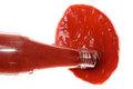 Do you prefer ketchup or catsup?