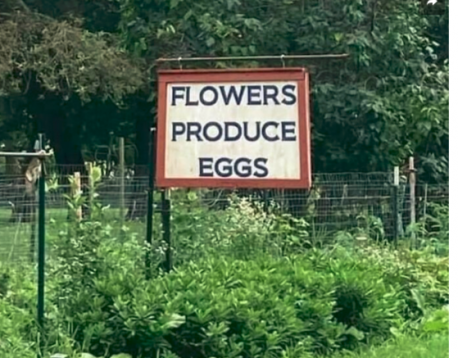 Have fun explaining this to the kids or grand kids. I would have fun with this one. How about you?