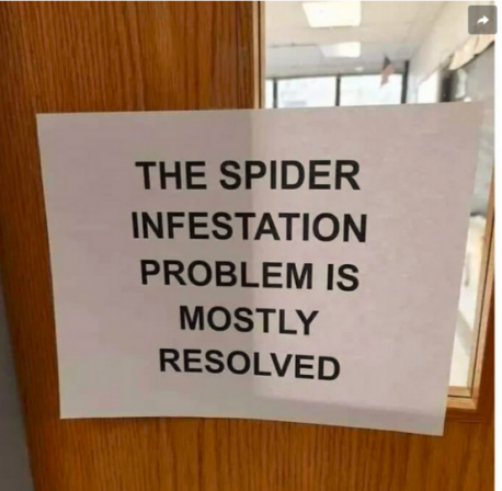 If this were in Australia (they have some nasty arachnids) I would be worried but in Canada not so much. The cold weather shrinks them and being Canadian, even the spiders are friendly. Have you ever met a dangerous Canadian spider?