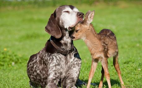 Even if you can't speak, or don't know what to say, kindness can be communicated and warmth exchanged. Will you give it a try today (this week maybe)?