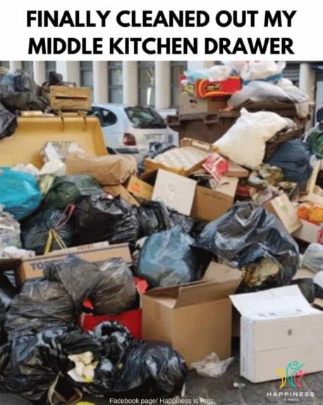 One of the hazards of the season is the arrival of an unwanted and judgemental guest. Some of us are forced to prepare for this event by giving the house