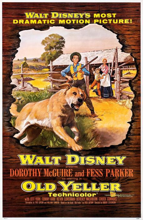 The movies I saw when I was young did not have the