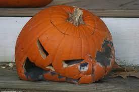 Most of the pumpkins I am seeing are decaying and rotted. Do you dislike seeing pumpkins in that condition?