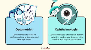 I have seen an ophthalmologist many times. Which of the following have you received care from? (Please refer to the graphic for clarification.)