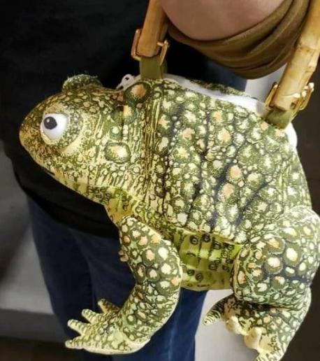 Looking for a statement piece to accessorize your outfit-of-the-day? I'm not sure what KIND of a statement this toad handbag would make, but it's most certainly bound to get some attention! Would you buy this for yourself or for a special someone in your life?